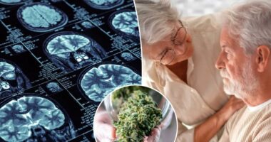 THC may protect against Alzheimerâs when paired with this drug
